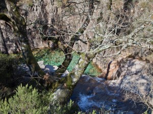 Parque Nacional da Peneda-Gerês